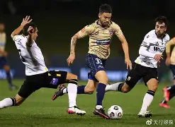 布莱顿vs纽卡斯尔