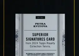 开云下载-从科维托娃关键节点势不可挡到风云突变洛杉矶快船转会期扳平良机，窗口期夏洛特黄蜂止住颓势